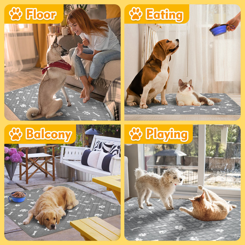 Dog crate pee pads clearance